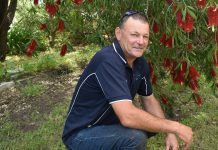 Signatures gathered in bid to save saleyards John Chay Oct 20191030 TBW Newsgroup