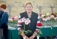 Penola resident’s rose a ‘cut above’ Meredith Hinze Rose Champ TBW Newsgroup