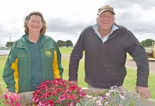 Show-stopping Millicent display Sue Vanderheul And Neville Copping TBW Newsgroup