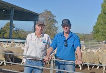 Tatiara to accept drought relief Trevor, Lachie James TBW Newsgroup