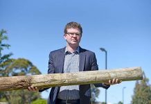 Immediate carpark action push Chris Picton Posts TBW Newsgroup