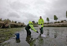 Invasion fish find triggers drastic action Dcim100goprogopr0442.jpg TBW Newsgroup