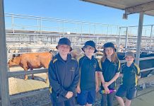 Students steered in right direction Kong Kids (2) TBW Newsgroup