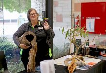 Region’s ‘dead wood’ initiative praised Kris Messenger Bugs N Slugs TBW Newsgroup