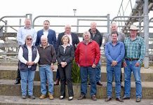 Upgrades to drive saleyard efficiency Saleyards TBW Newsgroup