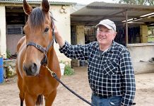 Top day out a sure bet Michael Oleary Emil TBW Newsgroup