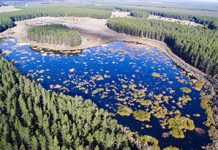 OneFortyOne independent audit completed Ofo Aerialwetlands TBW Newsgroup