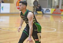 Daly signs for debut NBL1 season with Pioneers A Sam Daly Crop Dsc 406820190629 TBW Newsgroup