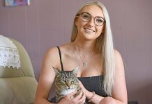 Beloved pet returns after seven years making a ‘purr-fect’ Christmas Bianca Ward TBW Newsgroup