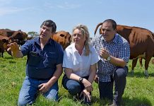 New dairy code to be introduced Graeme Hamilton, Bridget Mckenzie, Tony Pasin TBW Newsgroup