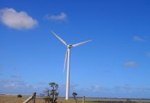 Big battery pays off Digital Stillcamera TBW Newsgroup