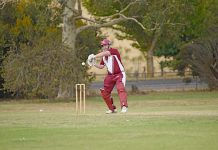 Sides collect big wins in Big Bash Twenty20 cricket round Dylan Clough Dsc 0359 TBW Newsgroup
