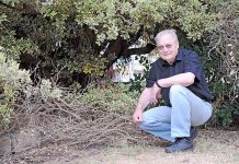 Wattle Range fire risk focus John Drew Bushfire Pic TBW Newsgroup