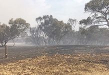 Keilira fire sparks renewed bid for black spot funding Keilira TBW Newsgroup