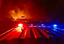 Black spot talk in Wattle Range Keilira TBW Newsgroup