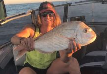 ‘Luck of the draw’ for hopeful snapper fishers Nathan Taylor Snapper TBW Newsgroup