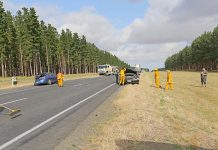 Drivers caught up in mass crash Princes Highway Crash TBW Newsgroup