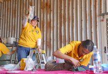 Koala colony receives top-level medical treatment Rspca South Australia Animal Handler Cher Long And Vet Gayle Kothari Kangaroo Island Fires Jan 2020 (4) TBW Newsgroup