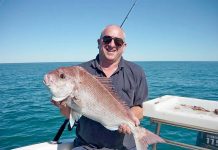 Loophole to lure fishers interstate Snapper 6.5kgweb TBW Newsgroup