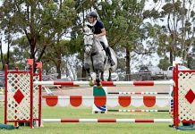 Showjumping carnival brings record numbers to Mount Gambier A Conor Reed On Leopoldo Mvnz Dsc 8323 TBW Newsgroup