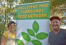 Town garden takes root Armfield Robinson TBW Newsgroup