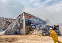 Keilira property owners prepare to rebuild as fire ‘wipes out’ feed paddock and storage shed Cfs Hay Shedweb TBW Newsgroup