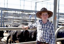 Farming future close to action Foley Saunders (2) TBW Newsgroup