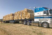 Leo club hay bale donation supports farmers Leo Hay Donation TBW Newsgroup