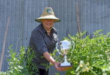 Tomato competition win ripe for picking Maria Weinberg TBW Newsgroup