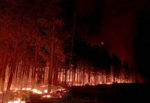 On the frontline Nelson Fires 2020 Jaiden Bombski Photo (4) TBW Newsgroup