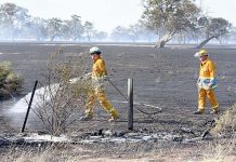 Woodchip embers spark blaze Penola Fire (3) TBW Newsgroup