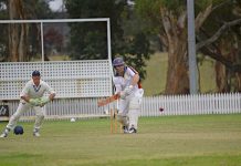 Victorian veteran cricketers earn bragging rights Jed Memsforth Dsc 3410 TBW Newsgroup