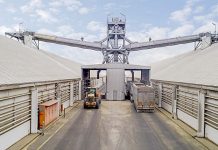 Millicent industrial site sold to regional buyer Silo On Market Still TBW Newsgroup