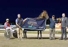 Alcatraz Lass wins 2020 Mount Gambier Gold Cup A A Mark Billinger, Tony Mckionnon, Aaron Bain, Mick Lamont Dsc 0450 TBW Newsgroup