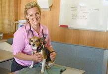 Snakes on the move with home and pet owners urged to be alert Becky Hallett And Izzy TBW Newsgroup