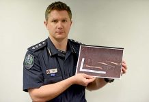 Police get to bottom of construction site bone find Campbell Hill Bones TBW Newsgroup