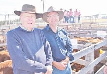 Family reflects ahead of final stud sale David Jenkin, Allan Millardweb TBW Newsgroup