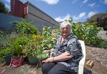 Seeds of Hope group raises funds to help revive bushfire affected gardens Jane Qualmann TBW Newsgroup