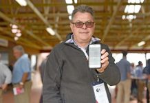 New website showcases Limestone Coast attractions Peter Bissell TBW Newsgroup