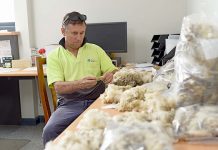 Sector records solid revenue Robbie Farrell TBW Newsgroup