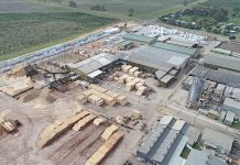 $60m next-gen timber investment Dcim100mediadji 0040.jpg TBW Newsgroup