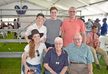 Full clearance achieved at Woonallee cattle sale Dot And Max Blacketer TBW Newsgroup