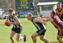 Mid South East Football League takes heavy hit from COVID-19 pandemic Gregory Lindner Gf TBW Newsgroup