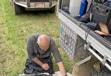 Insurance policy in place for endangered mussels Img 2280 TBW Newsgroup