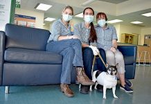 Vet clinic steps up health measures Lizlawson Landscape TBW Newsgroup