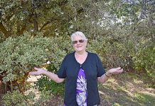 Highway speed limit to remain Lyn Brooks March TBW Newsgroup