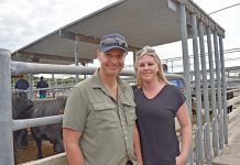 Saleyards face tough restrictions Michael And Amber Buhlmann TBW Newsgroup