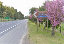 Ambitious proposal to transform main street Pennant Fb Photo Aug 19 TBW Newsgroup