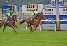 Redeveloped track fails gallops test as condition issues surface Horses 1 TBW Newsgroup