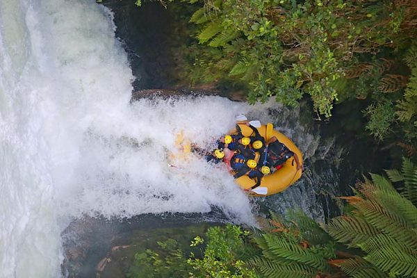 White Water Rafting TBW Newsgroup